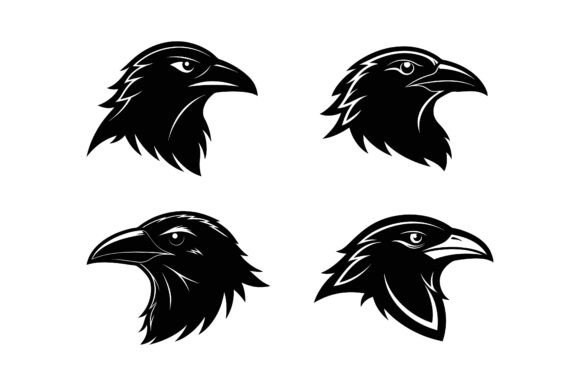 Raven Head Silhouette: Graphics & Mockups